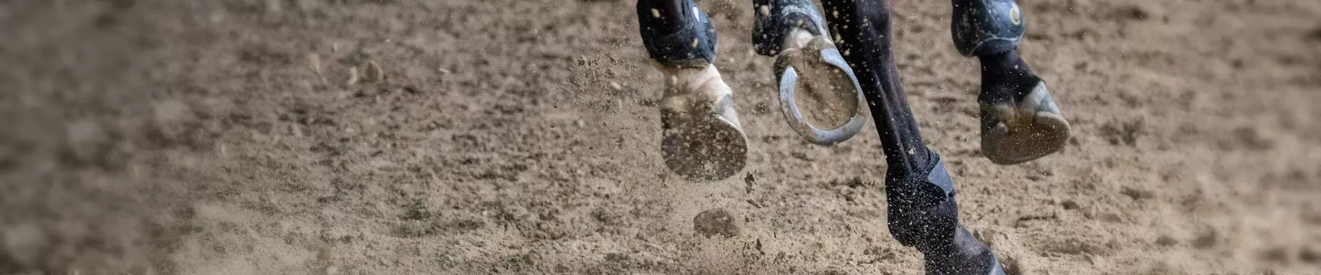 Pieds d'un cheval au galop dans un manège 