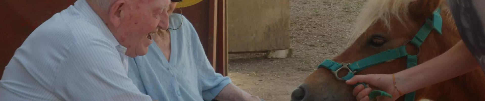 Personnes âgées en compagnie d'un shetland