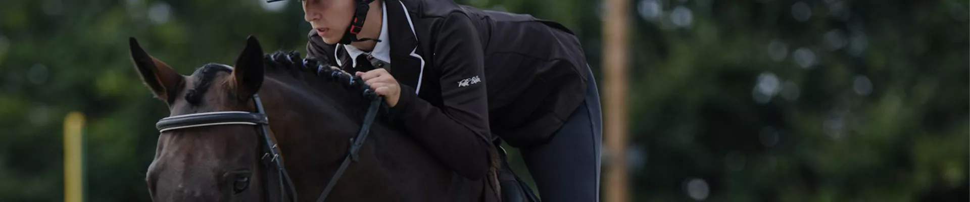 hunter-nouvelle-aquitaine