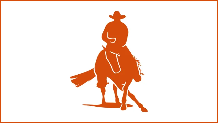 equitation-western-nouvelle-aquitaine