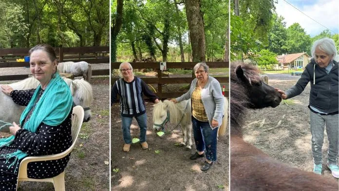 la-maison-du-part-age-en-seance-equithérapie