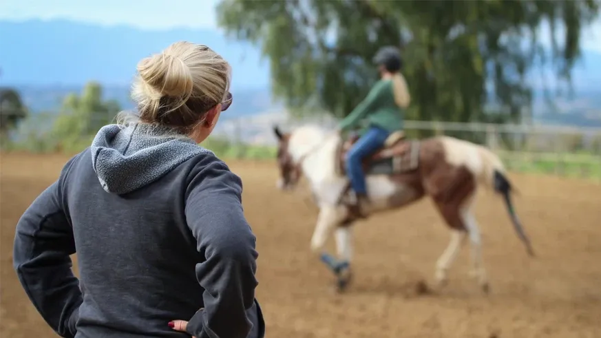 Cours d'équitation en carrière