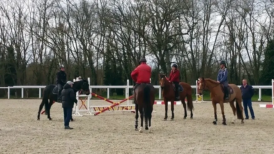 Formation en carrière 