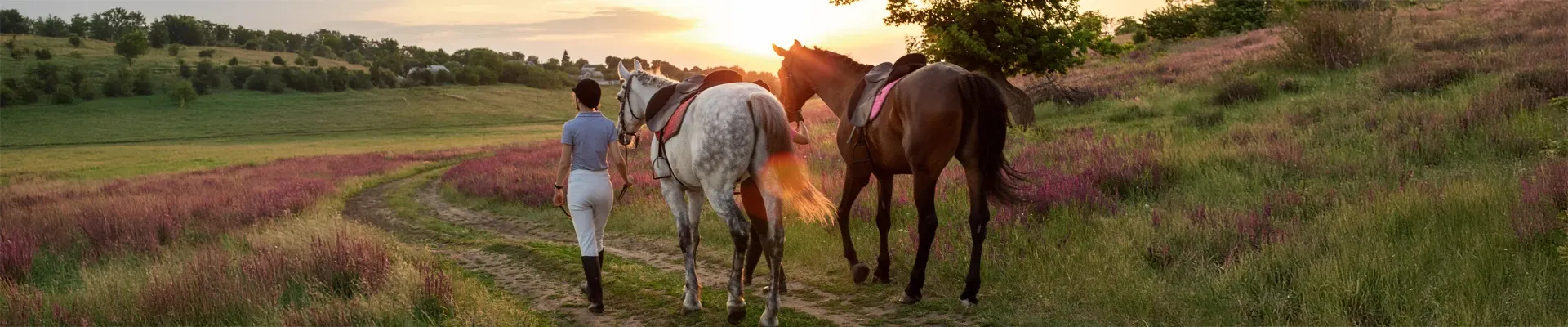 Deux cavalières en balade en extérieur