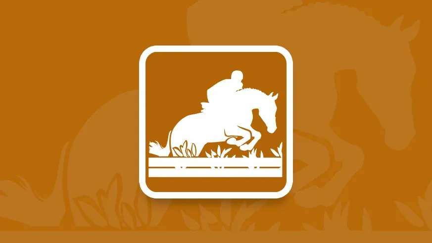 Teaser discipline Hunter