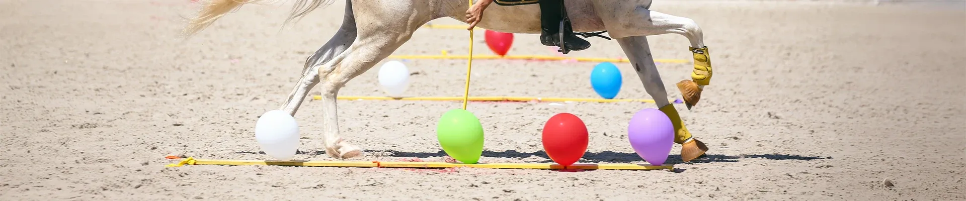 Cavalier en concours de Pony-Games