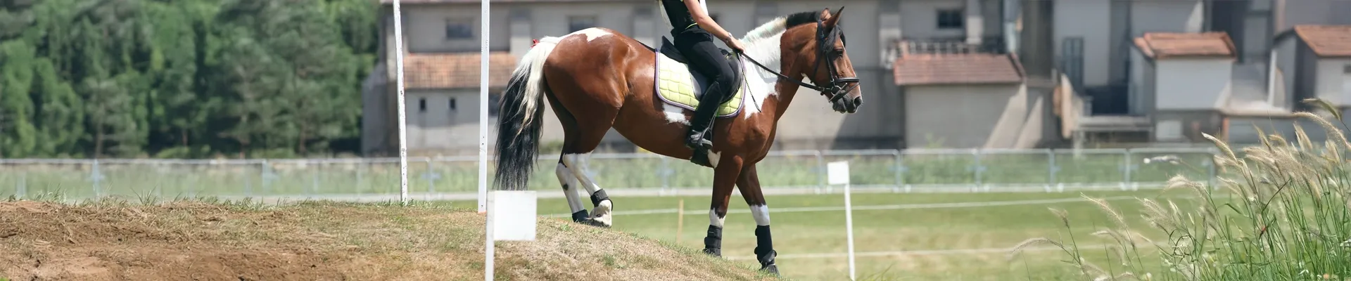 Cavalière en concours PTV - TREC