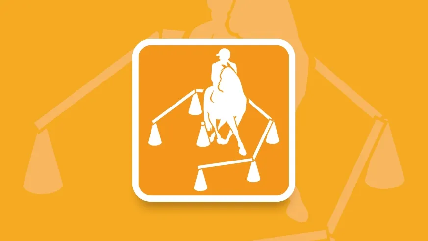 Picto discipline Equifun