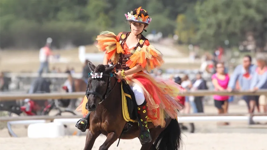 Teaser spectacle équestre 