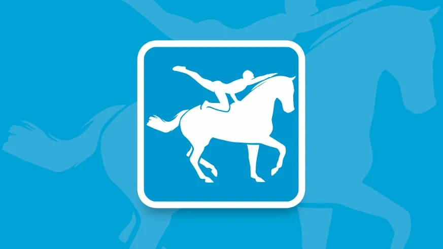 Teaser discipline Voltige