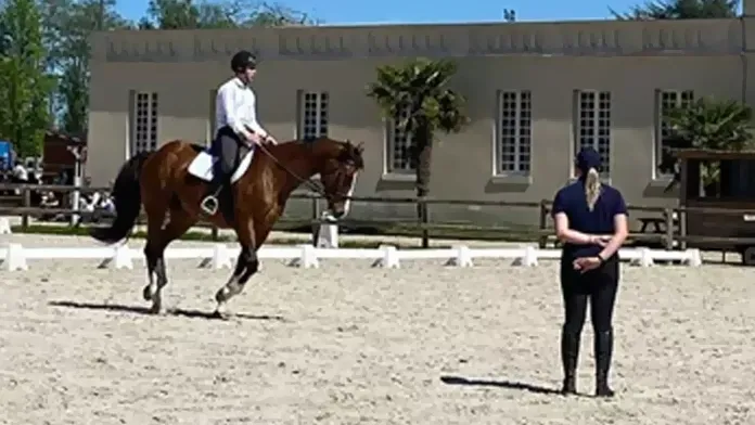 Épreuves Meilleurs apprentis de France Enseignant équitation 2024