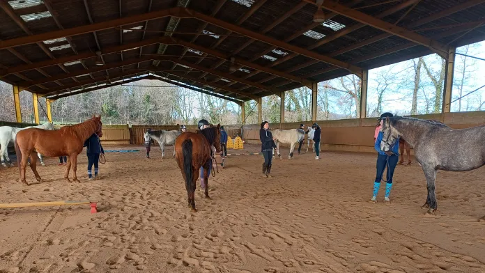 stage Jeune Endurance