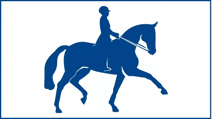 dressage-nouvelle-aquitaine