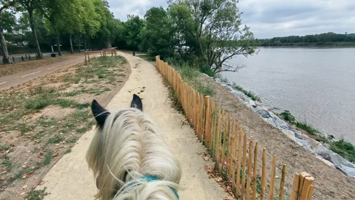 À cheval en randonnée régionale - pays de la Loire