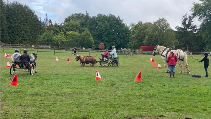 association-des-attelages-de-l-issoire