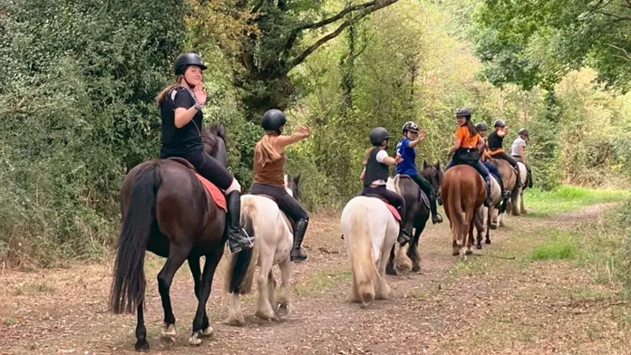 Cavaliers en forêt en randonnée régionale - pays de la Loire