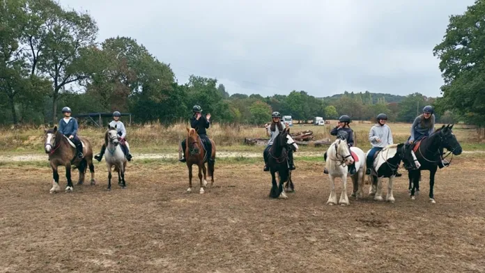 Cavaliers en randonnée régionale - pays de la Loire