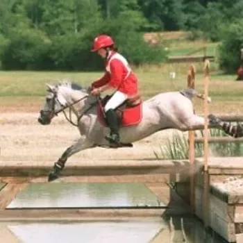 Cavalier en concours cross
