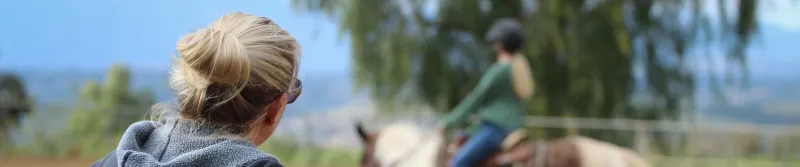 Formation équitation