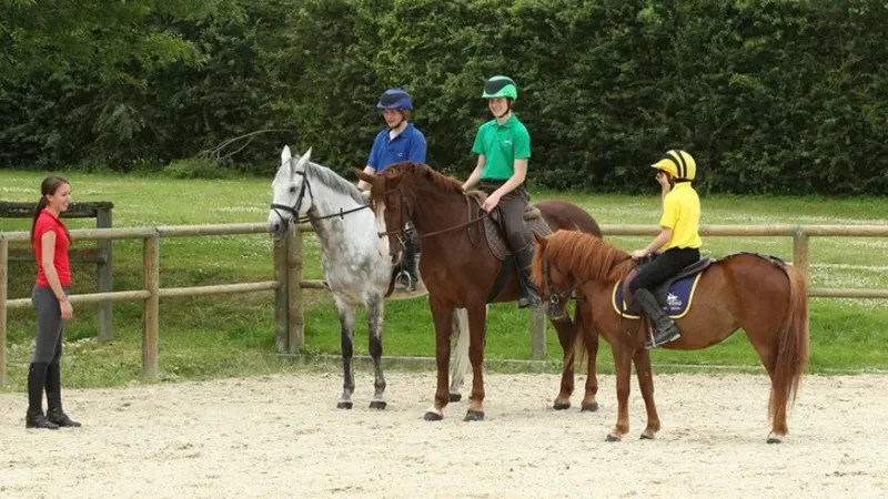 Formation fédérales