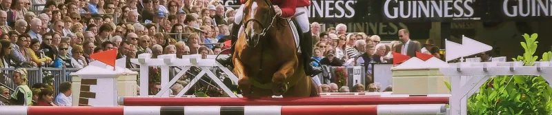 Cavalier en concours CSO