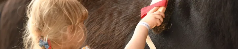 Petite fille brossant son poney