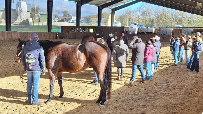 journee-pedagogique-western-2025