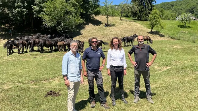 Transhumance des Mérens en Ariège 2025
