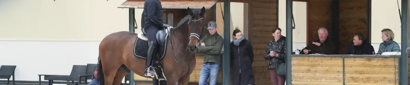 Cavalier en formation professionnelle continue