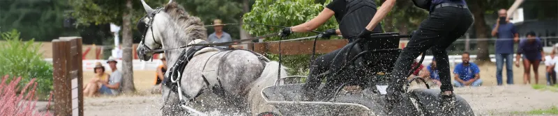 Header attelage en compétition