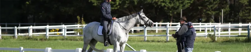 Stage équipe de France Équitation