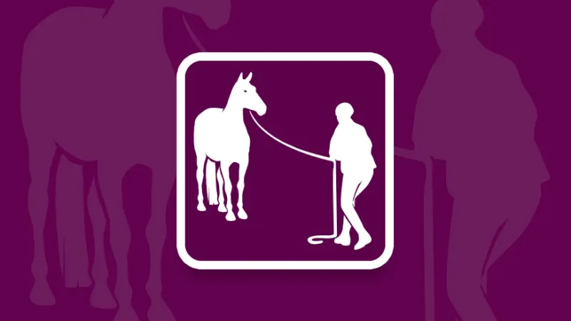 Teaser discipline Equifeel