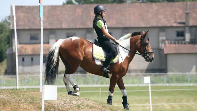 Cavalière en concours PTV - TREC