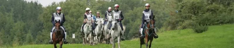 Discipline Endurance