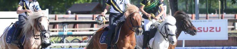 Discipline Horse Ball