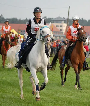 Photo endurance equestre