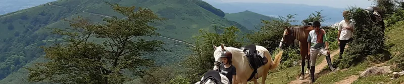 Cavalier en randonnée en montagne - GRTE
