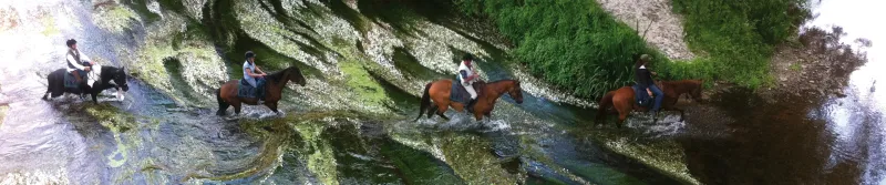 Chevaux en randonnée au gué vienne